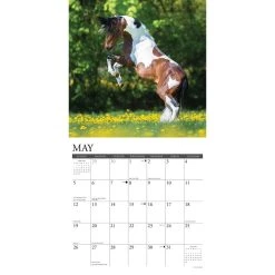 Horses Paint 2024 Wall Calendar 9 Horses Paint 2024 Wall Calendar -Calendars Sales Store 202400004082 ALT2