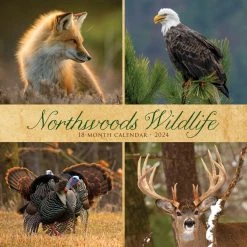 Northwoods Wildlife 2024 Wall Calendar