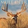 Mule Deer 2024 Wall Calendar -Calendars Sales Store 202400004106