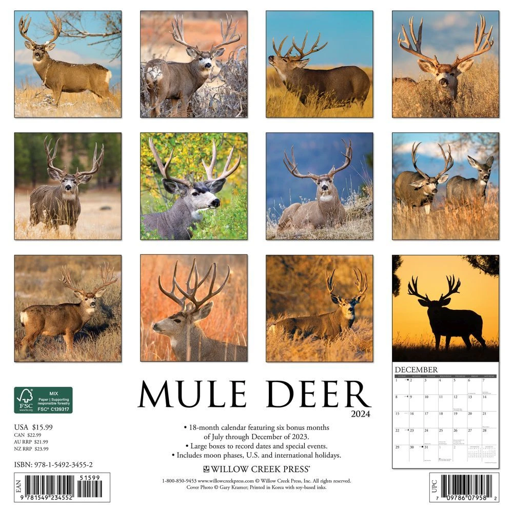 Mule Deer 2024 Wall Calendar 4 Mule Deer 2024 Wall Calendar - Image 2