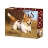 Dogs 2024 Desk Calendar 1 Dogs 2024 Desk Calendar -Calendars Sales Store 202400004306
