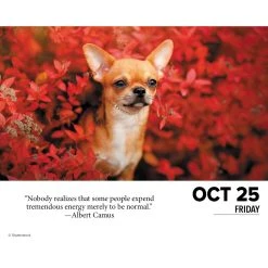 Dogs 2024 Desk Calendar -Calendars Sales Store 202400004306 ALT2