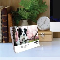 Dogs 2024 Desk Calendar -Calendars Sales Store 202400004306 ALT3