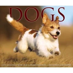 Dogs 2024 Desk Calendar -Calendars Sales Store 202400004306 ALT4