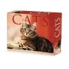 Cats 2024 Desk Calendar -Calendars Sales Store 202400004307