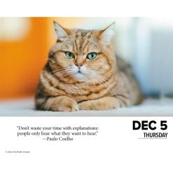 Cats 2024 Desk Calendar -Calendars Sales Store 202400004307 ALT2