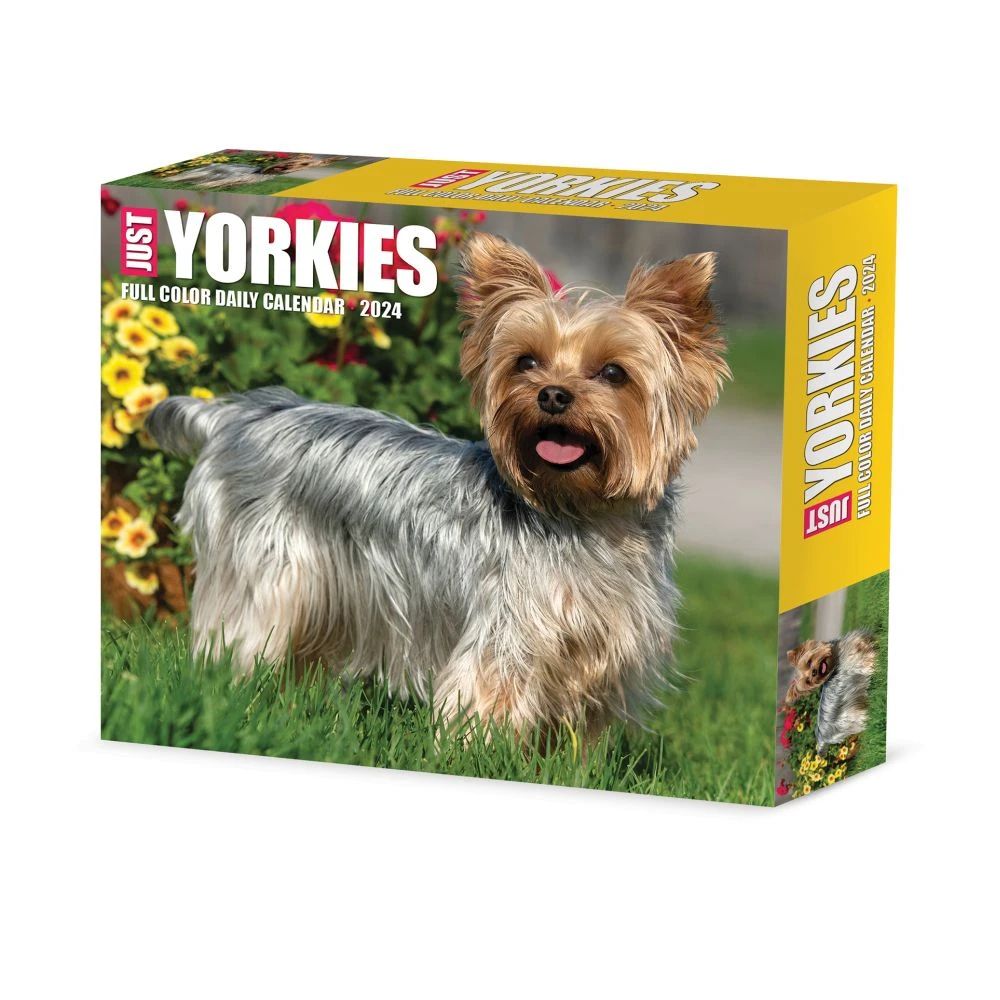 Just Yorkies 2024 Desk Calendar 3 Just Yorkies 2024 Desk Calendar
