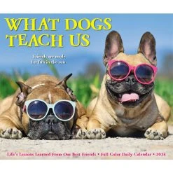 What Dogs Teach Us 2024 Desk Calendar -Calendars Sales Store 202400004320 ALT4