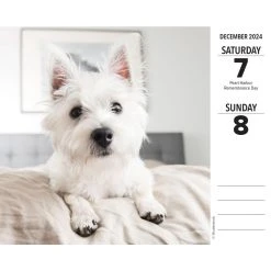 Just Westies 2024 Desk Calendar -Calendars Sales Store 202400004322 ALT2