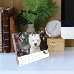 Just Westies 2024 Desk Calendar -Calendars Sales Store 202400004322 ALT3