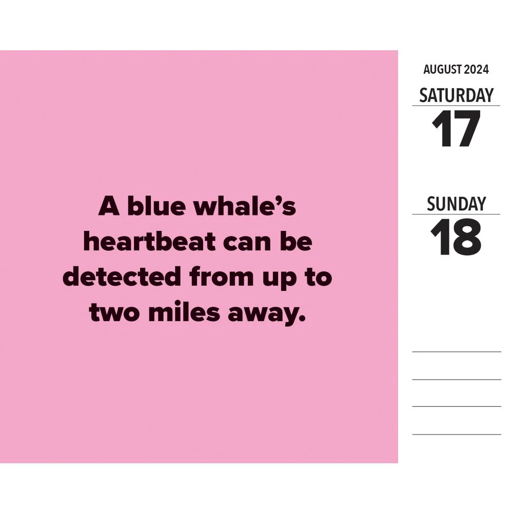 Today I Learned 2024 Desk Calendar 5 Today I Learned 2024 Desk Calendar - Image 3