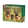 Just German Shepherds 2024 Desk Calendar -Calendars Sales Store 202400004341
