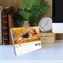 Just German Shepherds 2024 Desk Calendar -Calendars Sales Store 202400004341 ALT3