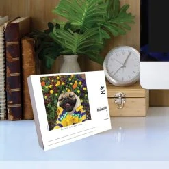 Doug The Pug 2024 Desk Calendar 11 Doug The Pug 2024 Desk Calendar -Calendars Sales Store 202400004343 ALT3