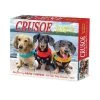 Crusoe The Celebrity Dachshund 2024 Desk Calendar -Calendars Sales Store 202400004346