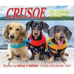 Crusoe The Celebrity Dachshund 2024 Desk Calendar -Calendars Sales Store 202400004346 ALT4