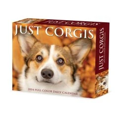 Just Corgis 2024 Desk Calendar