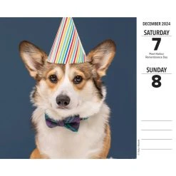 Just Corgis 2024 Desk Calendar -Calendars Sales Store 202400004347 ALT2