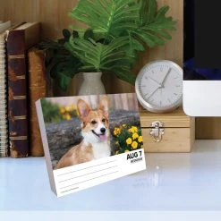 Just Corgis 2024 Desk Calendar -Calendars Sales Store 202400004347 ALT3