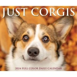 Just Corgis 2024 Desk Calendar -Calendars Sales Store 202400004347 ALT4