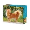 Just Chihuahuas 2024 Desk Calendar -Calendars Sales Store 202400004349