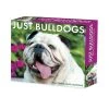 Just Bulldogs 2024 Desk Calendar -Calendars Sales Store 202400004351