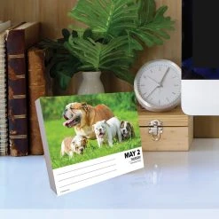 Just Bulldogs 2024 Desk Calendar -Calendars Sales Store 202400004351 ALT3