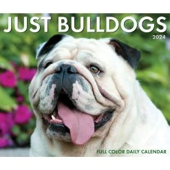 Just Bulldogs 2024 Desk Calendar -Calendars Sales Store 202400004351 ALT4
