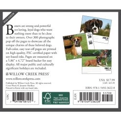 Just Boxers 2024 Desk Calendar -Calendars Sales Store 202400004352 ALT1