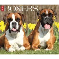 Just Boxers 2024 Desk Calendar -Calendars Sales Store 202400004352 ALT4