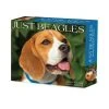 Just Beagles 2024 Desk Calendar -Calendars Sales Store 202400004356