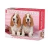 Just Basset Hounds 2024 Desk Calendar -Calendars Sales Store 202400004357