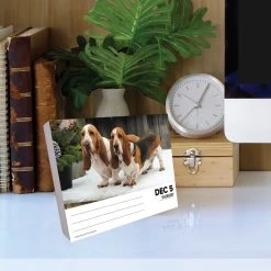 Just Basset Hounds 2024 Desk Calendar -Calendars Sales Store 202400004357 ALT3