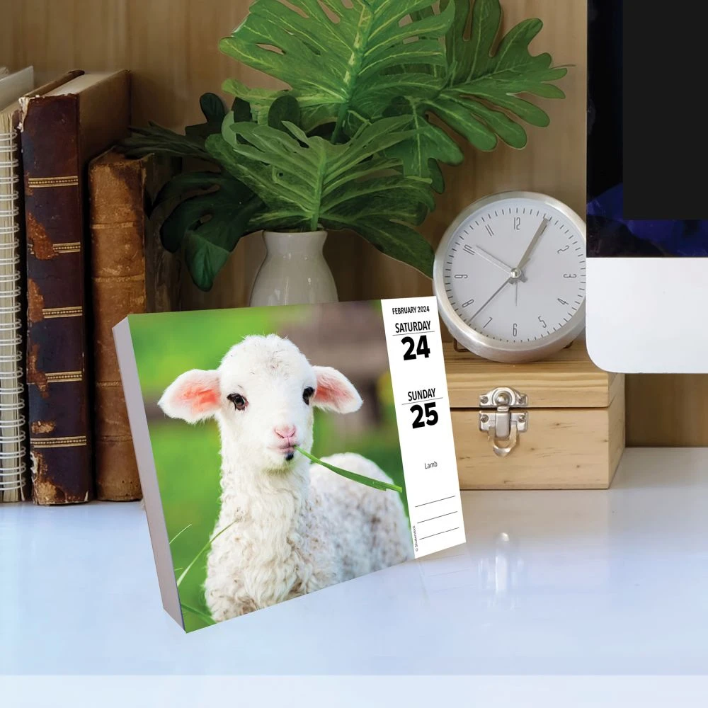 Baby Animals 2024 Desk Calendar 5 Baby Animals 2024 Desk Calendar - Image 4