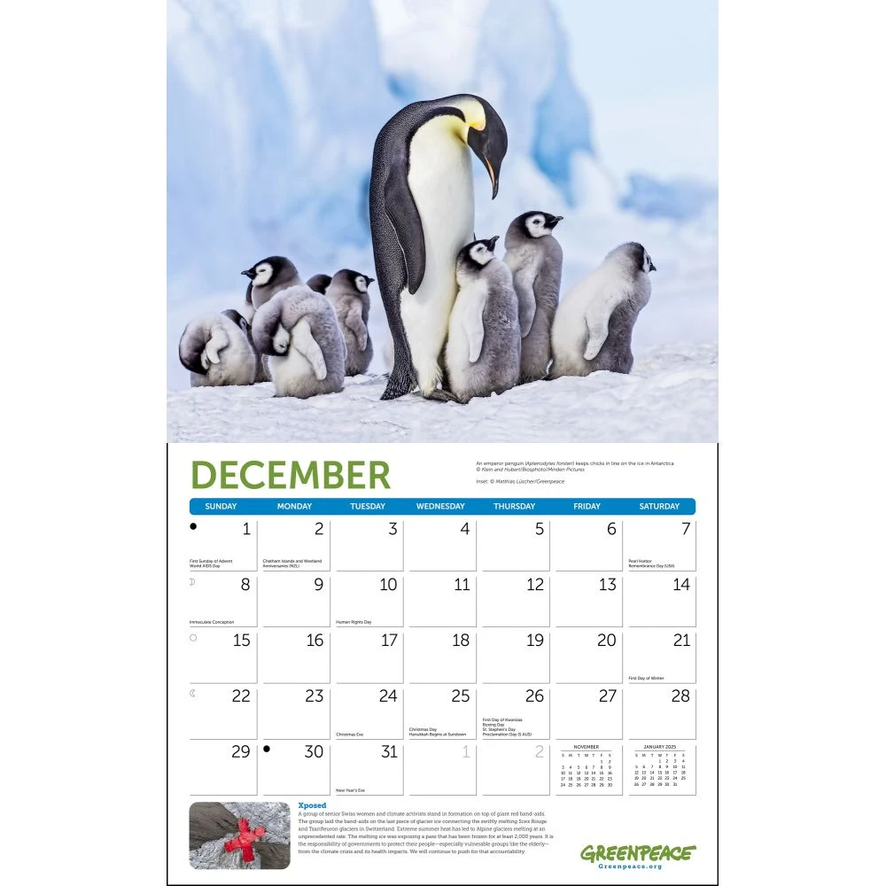 Greenpeace 2024 Wall Calendar 6 Greenpeace 2024 Wall Calendar - Image 4