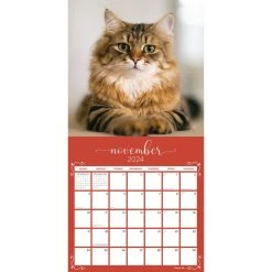 Cats Fanciful Felines 2024 Wall Calendar -Calendars Sales Store 214ef840 fb10 4201 a1d7 87836a34034d
