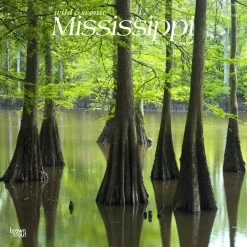 Mississippi Wild And Scenic 2024 Wall Calendar