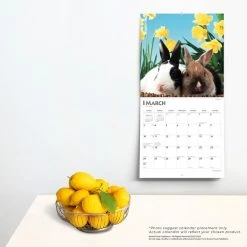 Honey Bunny 2024 Wall Calendar -Calendars Sales Store 22998a75 3d35 425e b1ef 1c5983798da8