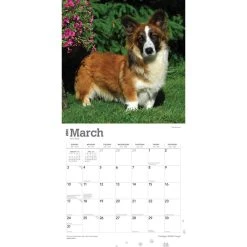 Welsh Corgis Cardigan 2024 Wall Calendar 12 Welsh Corgis Cardigan 2024 Wall Calendar -Calendars Sales Store 2303b25d 98bd 4abe 88a0 aee15a358a0d