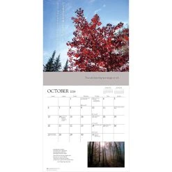 Tao 2024 Wall Calendar -Calendars Sales Store 23700e79 6e1f 4c01 a248 29af1007b414