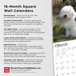 Old English Sheepdogs 2024 Wall Calendar 14 Old English Sheepdogs 2024 Wall Calendar -Calendars Sales Store 238116f6 9d26 4e00 a675 bd39fe17574a