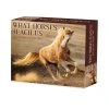 What Horses Teach Us 2024 Desk Calendar 2 What Horses Teach Us 2024 Desk Calendar -Calendars Sales Store 25a5b062 3c48 4417 bfb8 0de293871806