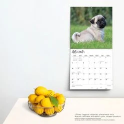 Pug Puppies 2024 Wall Calendar -Calendars Sales Store 27505da6 9021 4810 85aa 6edca655f809