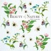 Beauty Of Nature 2024 Wall Calendar