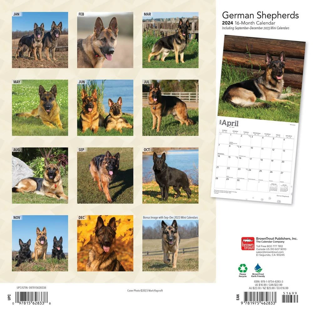 German Shepherds 2024 Wall Calendar 4 German Shepherds 2024 Wall Calendar - Image 2