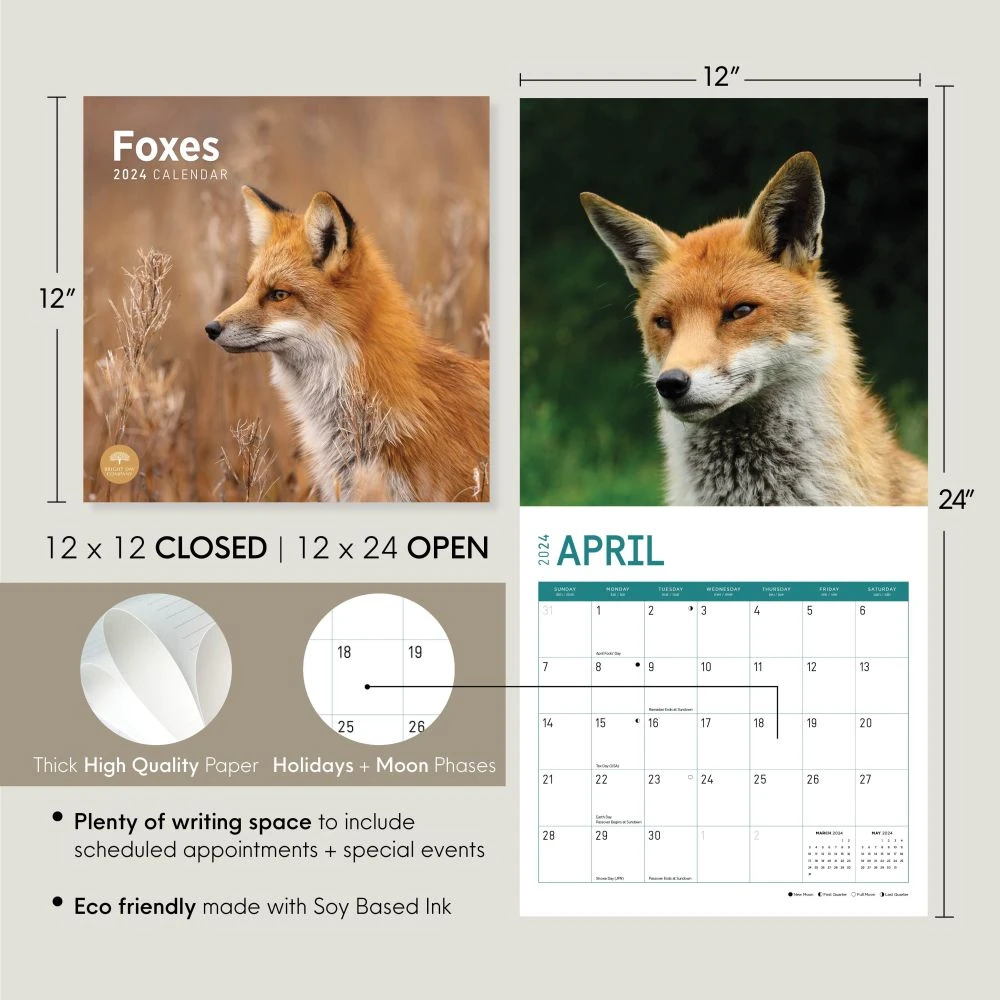 Foxes 2024 Wall Calendar 11 Foxes 2024 Wall Calendar - Image 9