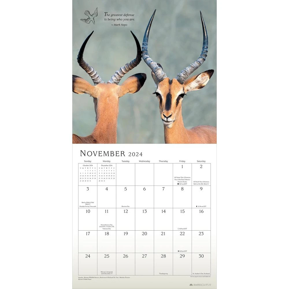 Mark Nepo 2024 Wall Calendar 5 Mark Nepo 2024 Wall Calendar - Image 3