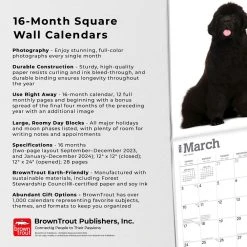 Newfoundlands 2024 Wall Calendar -Calendars Sales Store 2bf63519 58a4 42a2 bc5a 8df3b6ae31f3