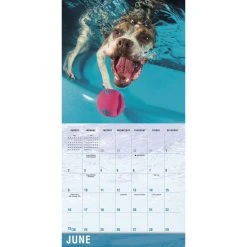 Underwater Dogs 2024 Wall Calendar -Calendars Sales Store 2c40ffec 0ad1 4030 95d9 f5a450e63569