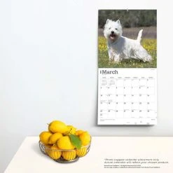 West Highland White Terriers 2024 Wall Calendar -Calendars Sales Store 2c99a455 e889 4868 80e4 e2aa536f63a8